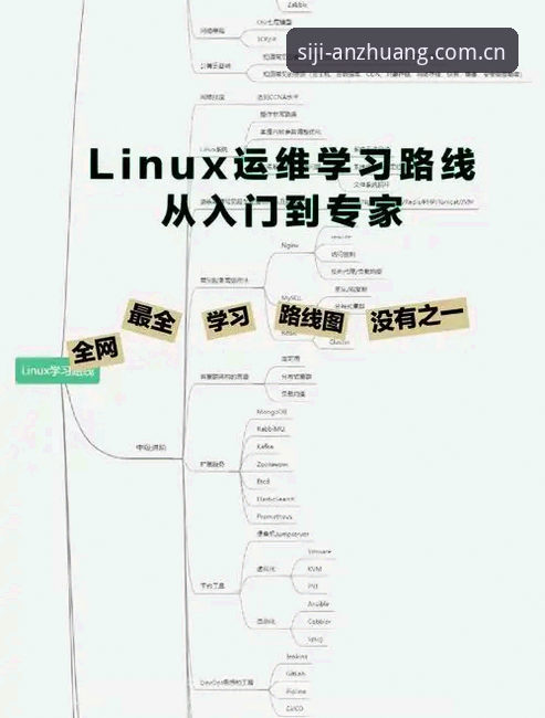 最新四季SSIJ使用体验 四季官方入口使用体验:从入门到精通的实用技巧指南